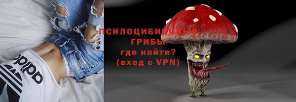 бошки Абинск