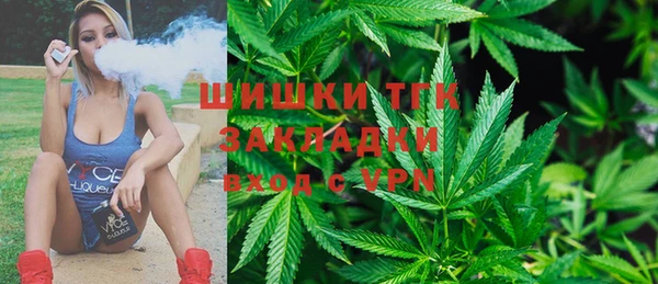 PSILOCYBIN Пересвет