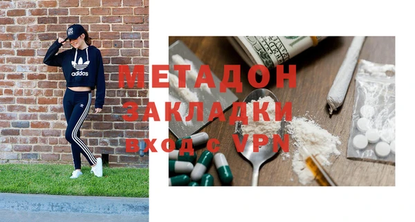 стаф Алзамай