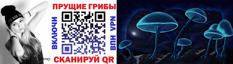 купить наркотики сайты  Нальчик  Галлюциногенные грибы ЛСД 
