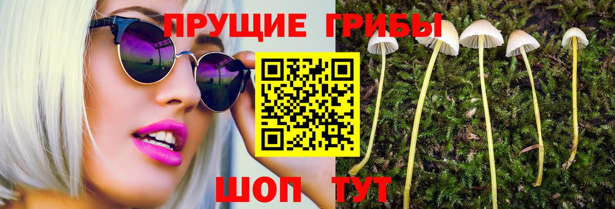 Псилоцибиновые грибы прущие грибы  Вход с VPN  Нальчик 